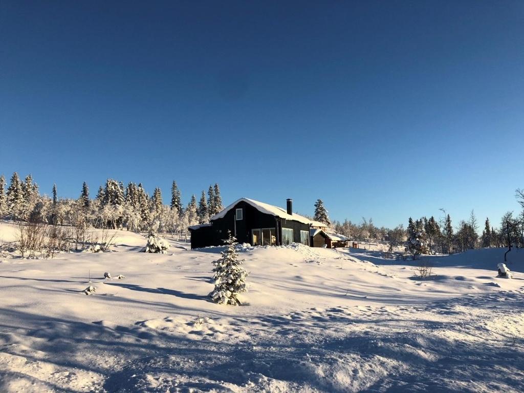 Skarvebo - cabin with amazing view photo 1