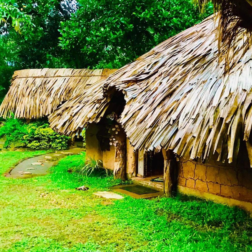Hasthi Safari Cottage photo 4