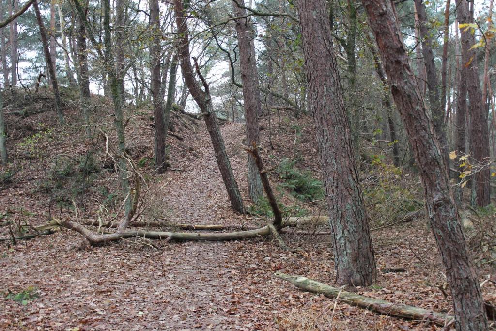 Camping het Smitske photo 3