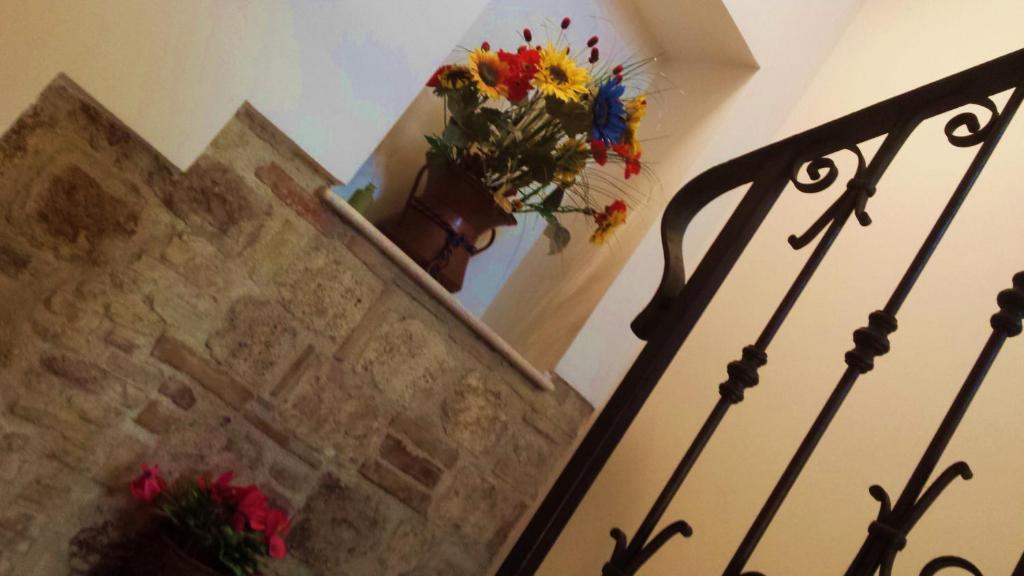 Il Ciclamino Bed and Breakfast photo 1