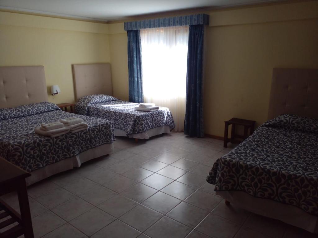 Calafate Hostel photo 3