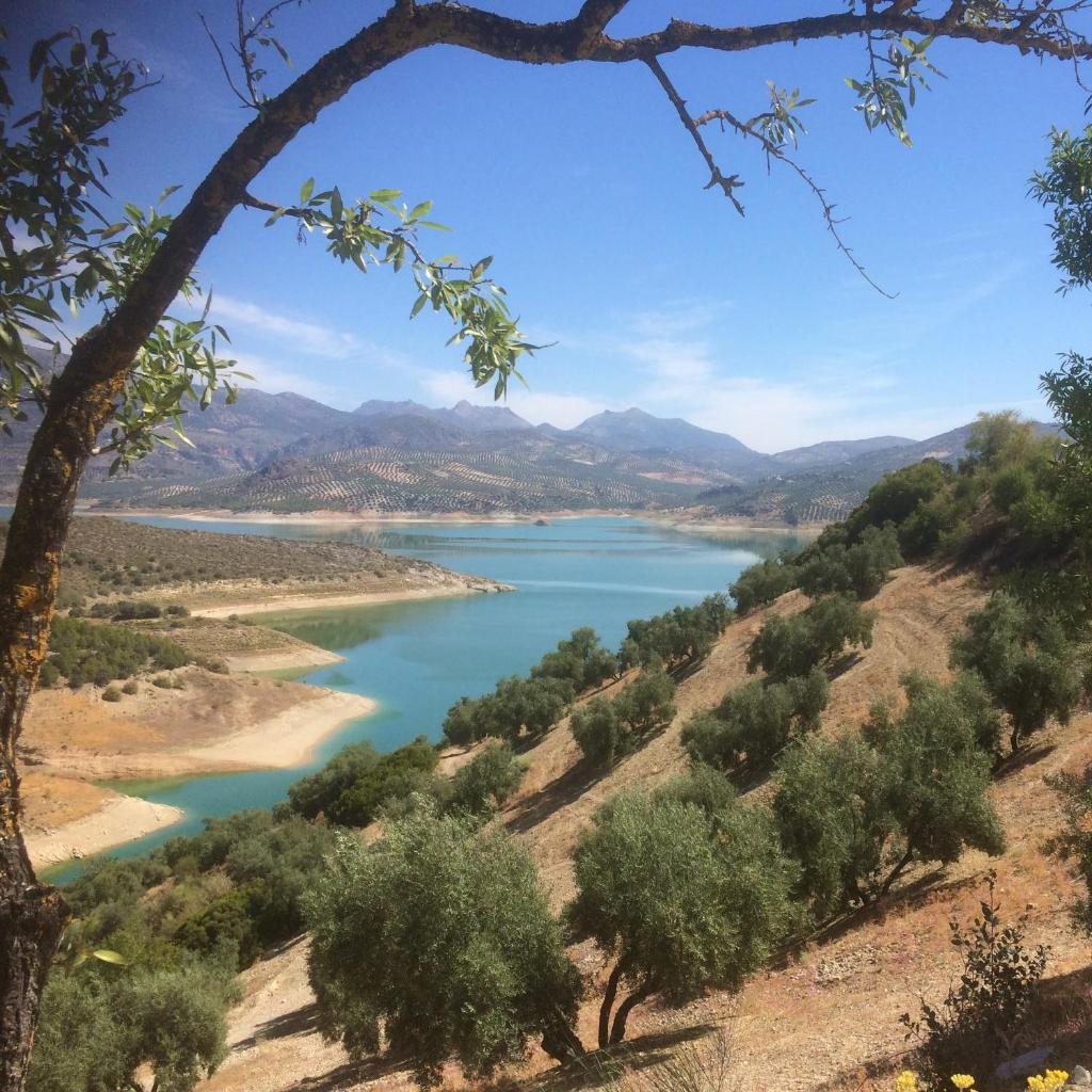 Cortijo Rocas Altas photo 4