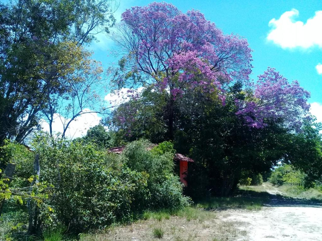 Sitio da Calma photo 1