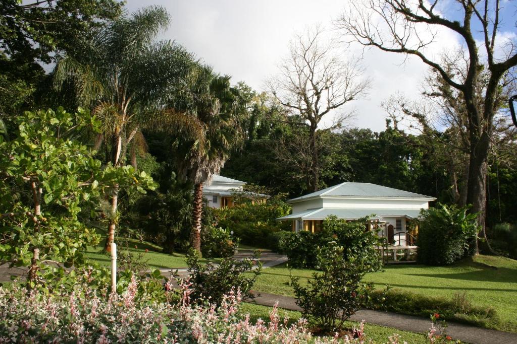 Les Cycas photo 1