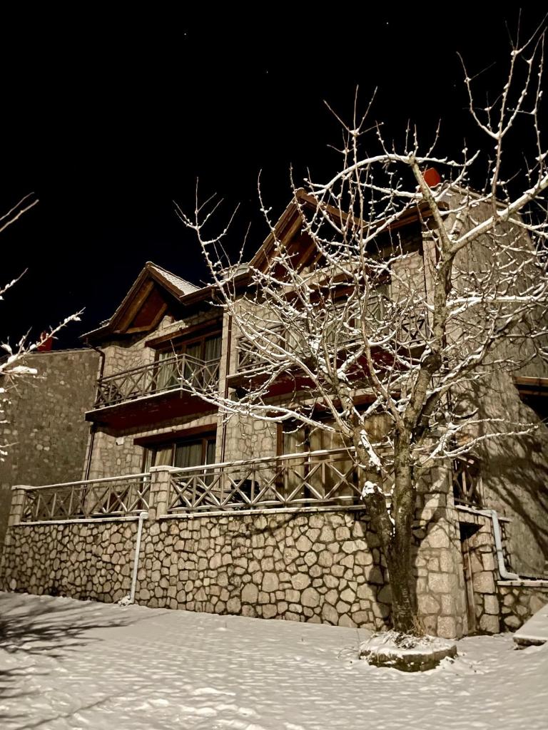 Petradi Residence @ Agoriani-Parnassus photo 1