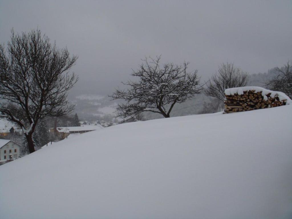 Gîte au pied du Mont photo 4