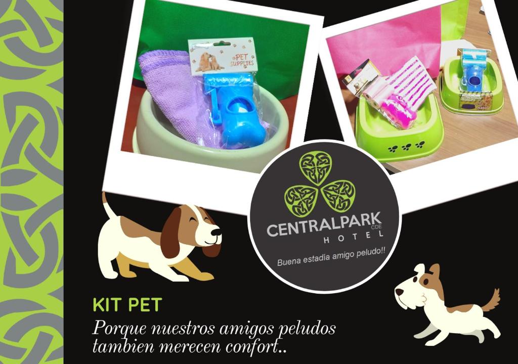 CENTRAL PARK CDE photo 2