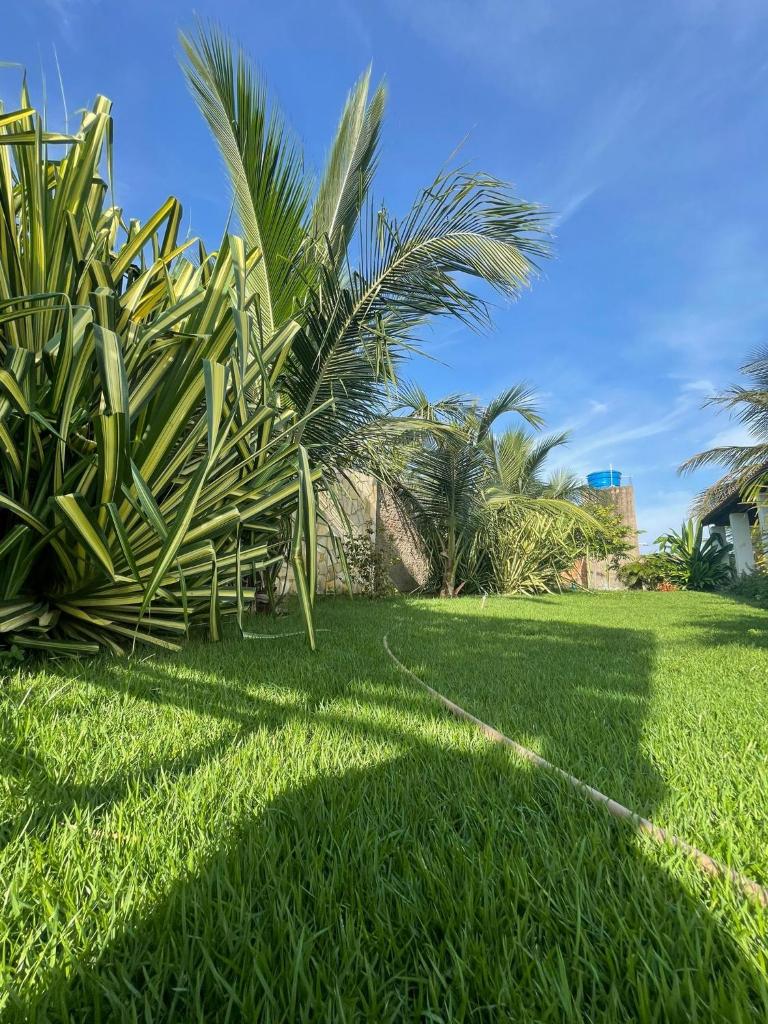 Casa Tamara photo 4
