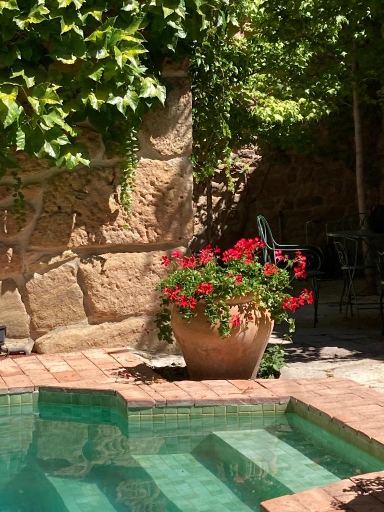 La Casa del Bosque photo 1