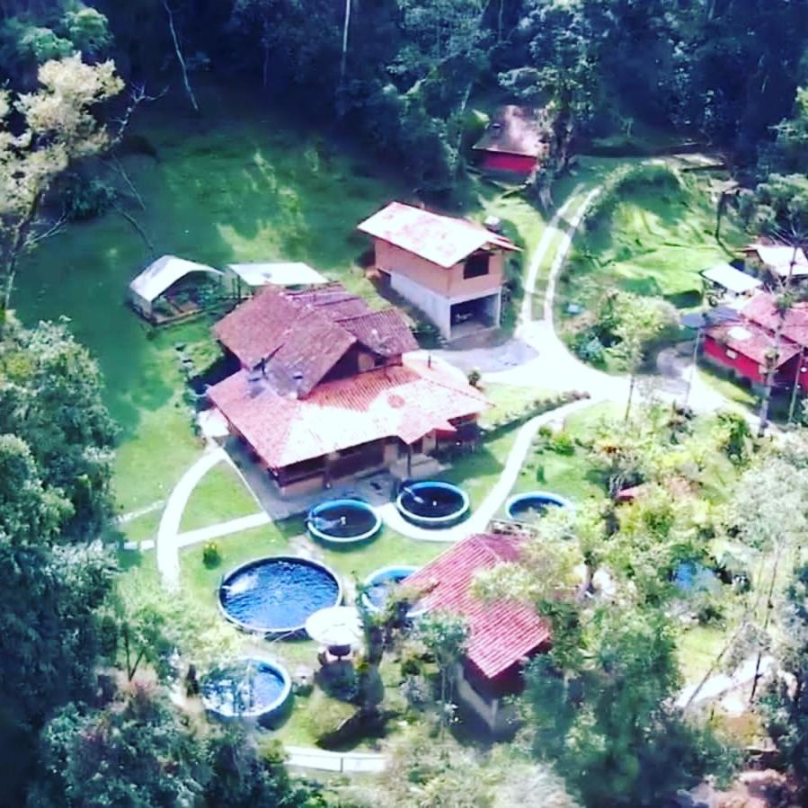 Chalé rústico truta dá floresta 3