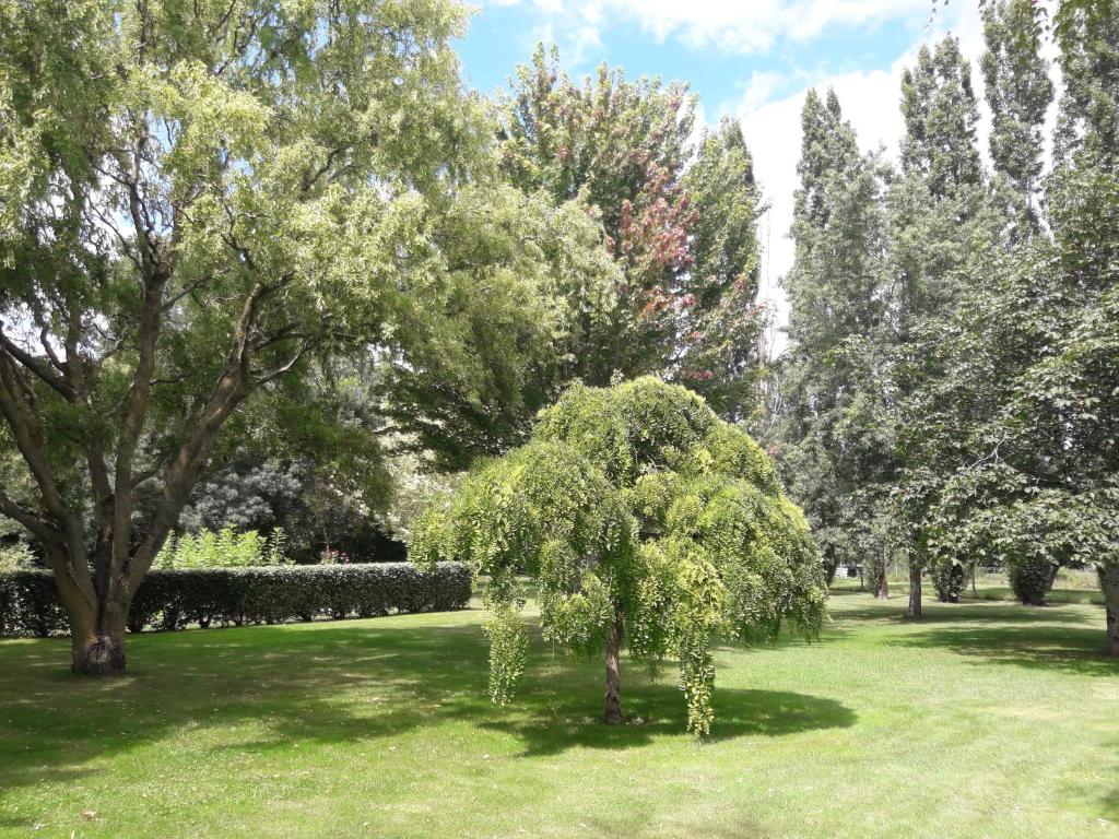 Le logis de LANGE apt Les Aigrettes photo 3