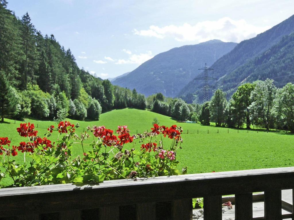 Apartment near Hoge Tauern National Park photo 2