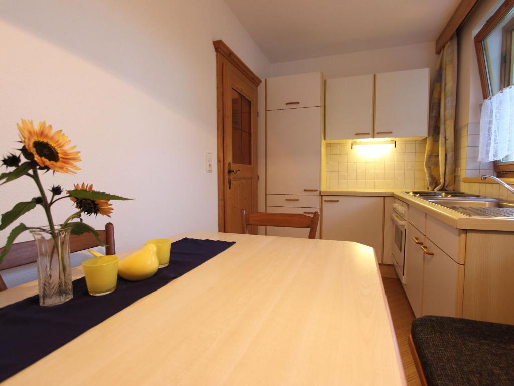Apartment between Hopfgarten and the Wildsch nau photo 2