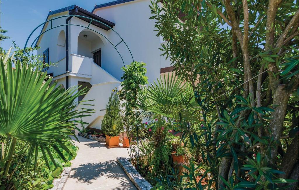Awesome Apartment In Novigrad With 2 Bedrooms And Wifi photo 2