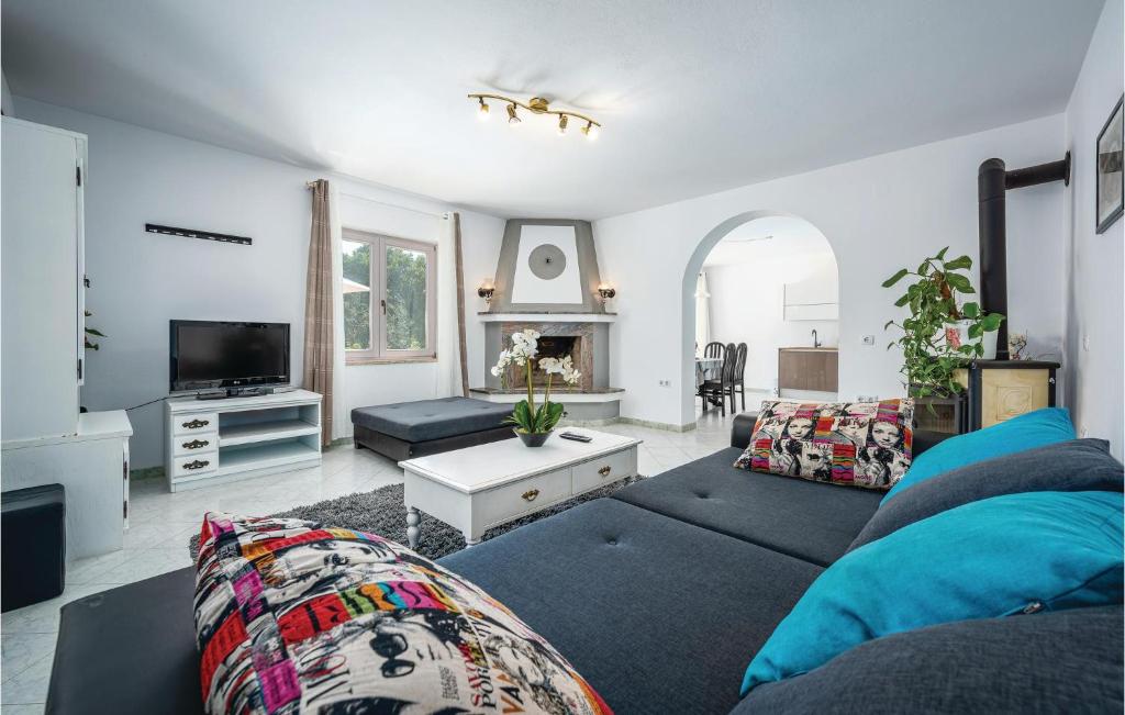 Awesome Home In Vabriga With 4 Bedrooms, Jacuzzi And Outdoor Swimming Pool photo 1