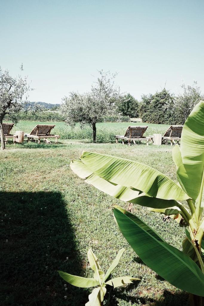 Bed & Breakfast IL PAJO photo 3