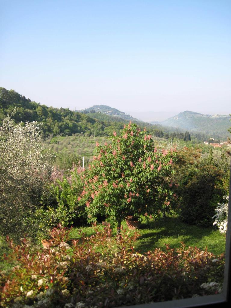 Fattoria il Leccio - Elegant Suite on Florence Hills photo 4