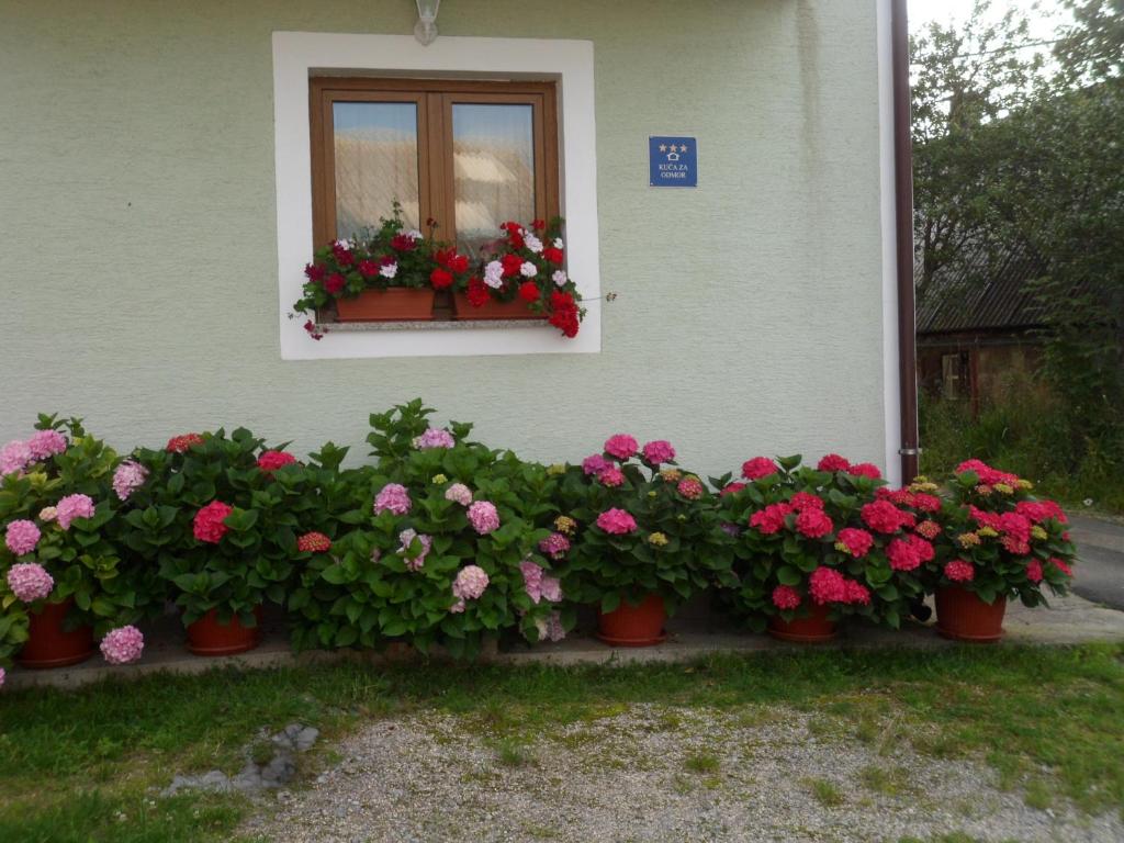 Vacation home Kuća za Odmor photo 4