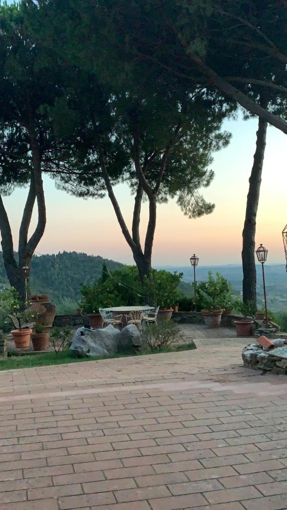 La stanza col giardino photo 3