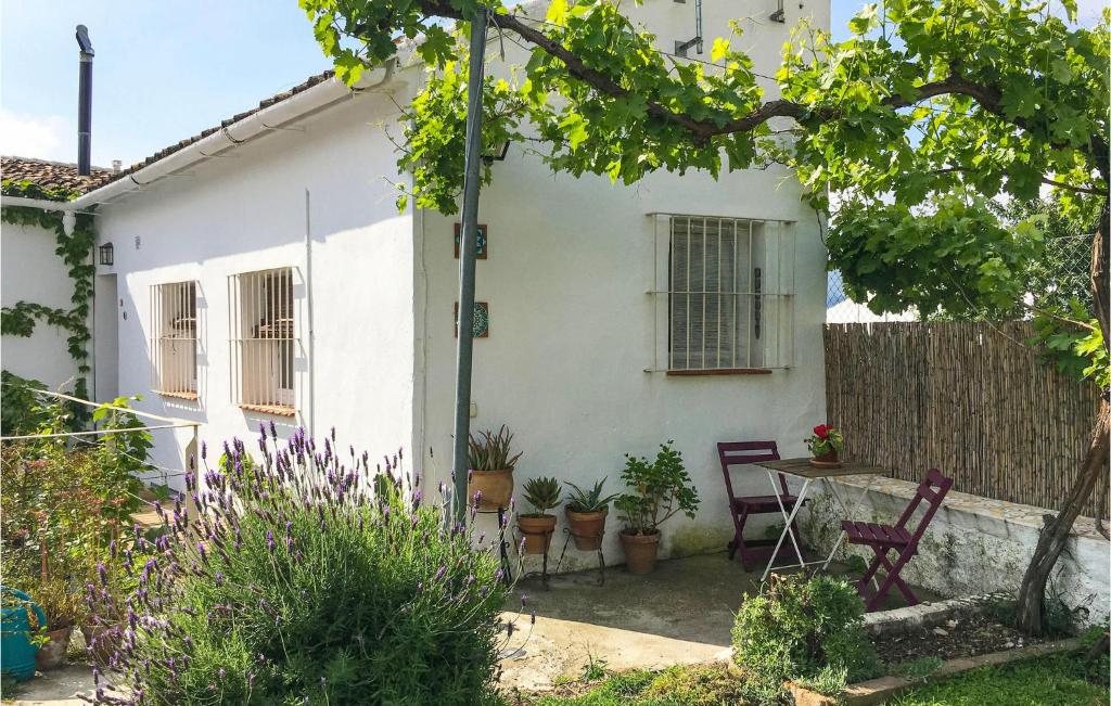 Beautiful Home In Algodonales With 2 Bedrooms, Wifi And Swimming Pool photo 4