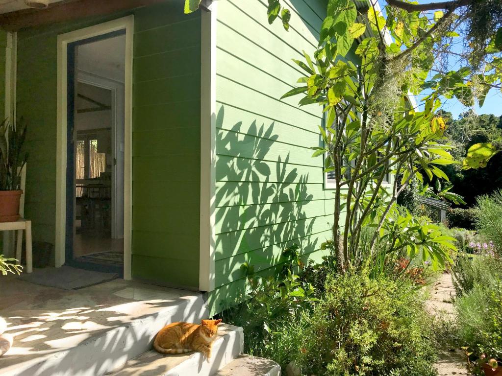 Loeriewood Garden Apartment, Hunters Home photo 4