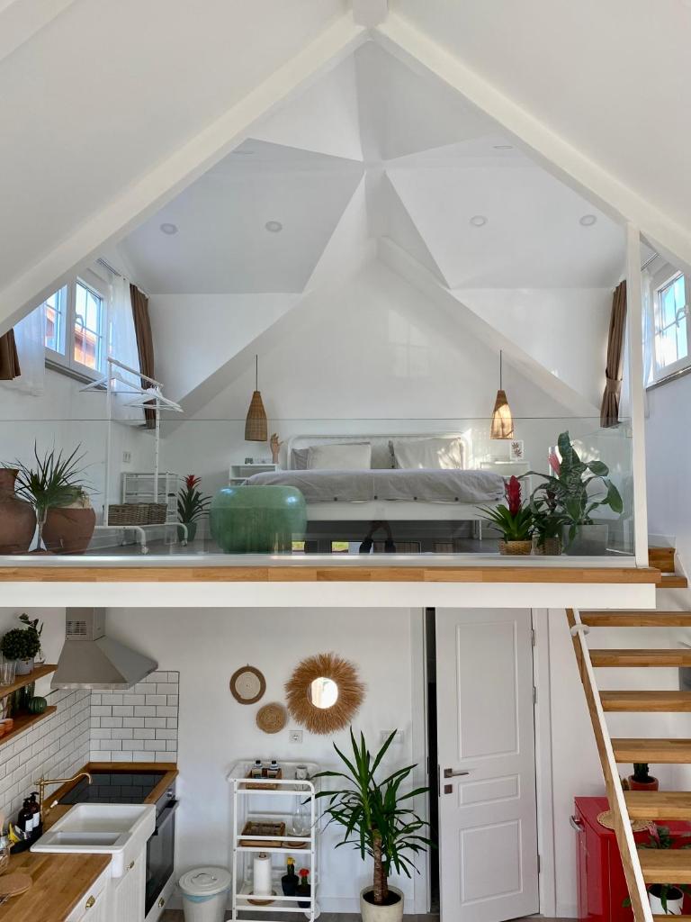 Nubu House photo 1