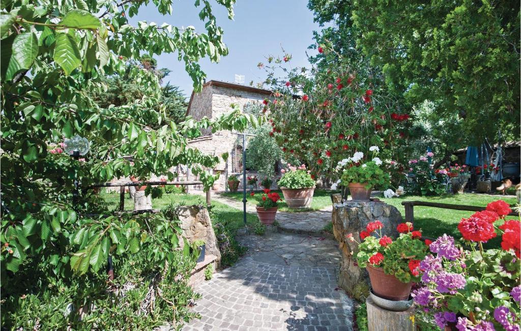 Il Cispo photo 2