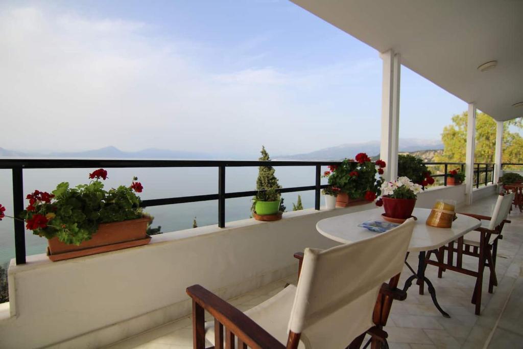 Sea Side Villa Alexandra photo 1