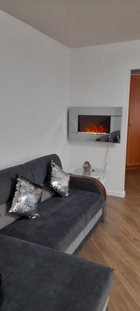 Cozy stay in unique town - Kėdainiai photo 1