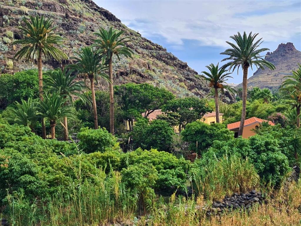 Haciendita Gomera photo 4