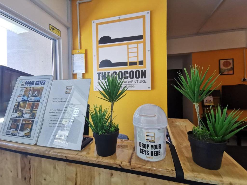 The Cocoon Capsule Hotel photo 1
