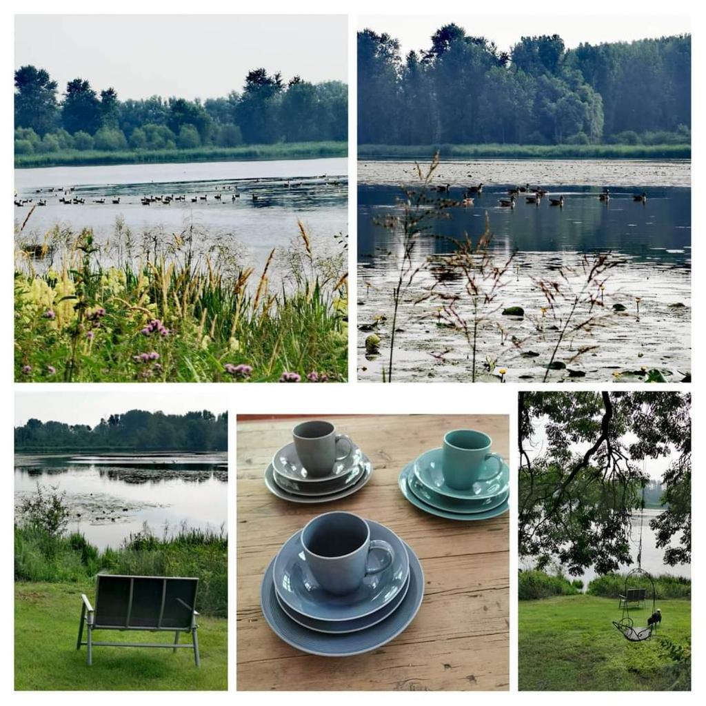 Casa WaMü Nature Reserve direkt am Altrhein photo 4