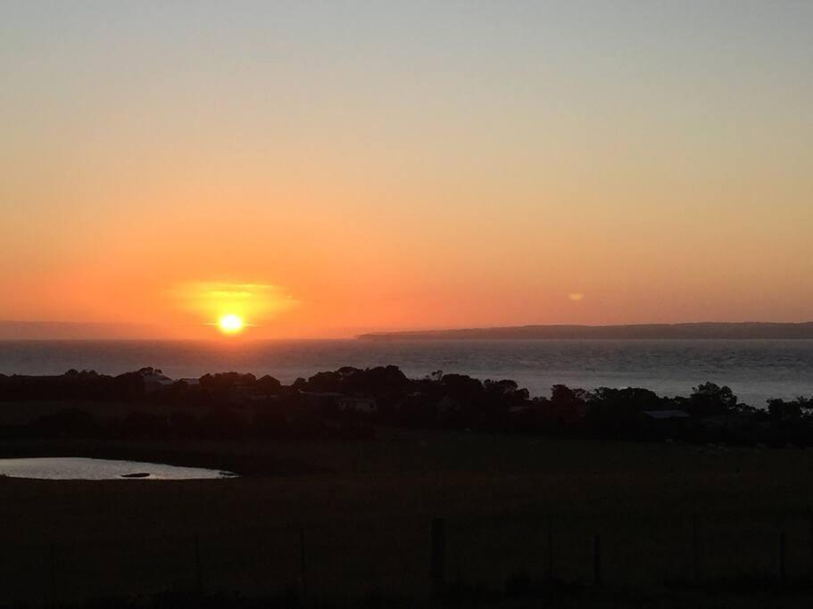 YOLO- Beach-house views, near penguins, nbn! photo 3