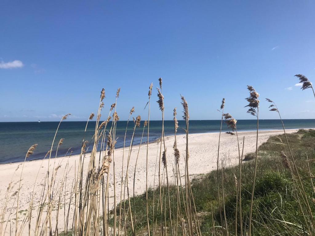 Hof Norderlück - Das Ostseehotel unter Reet photo 1