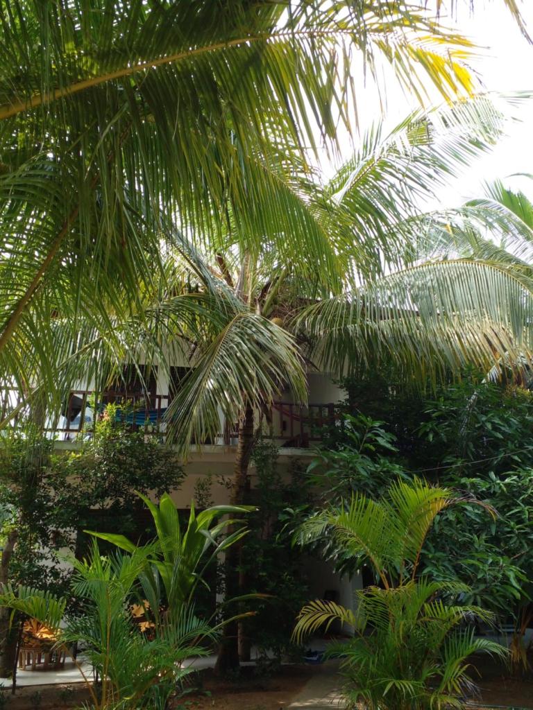 Little Sunshine Guest House & Restaurant photo 2