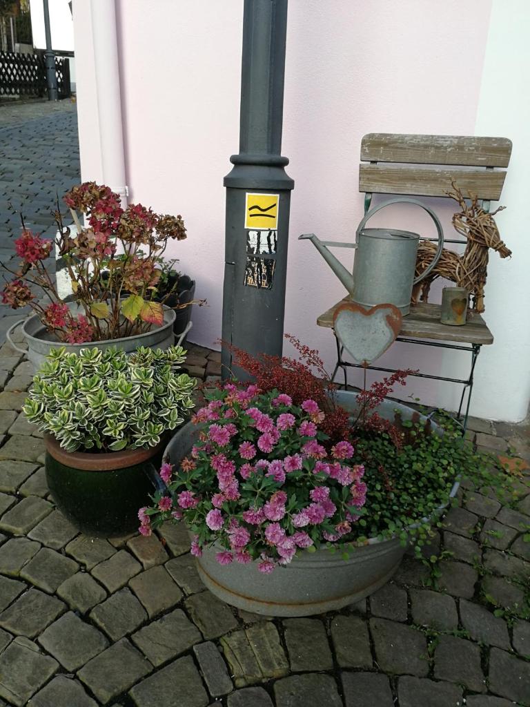 Siegen Altstadt Oberstadt Häuschen photo 3