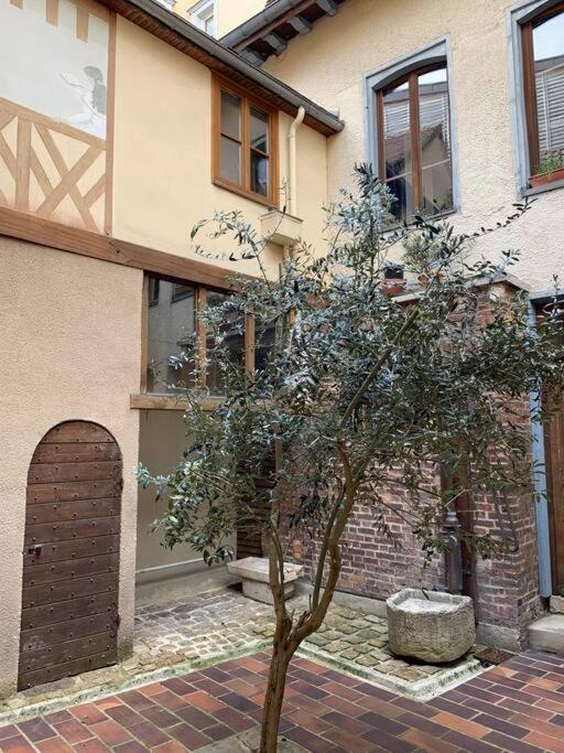 Aube berges de Troyes photo 4