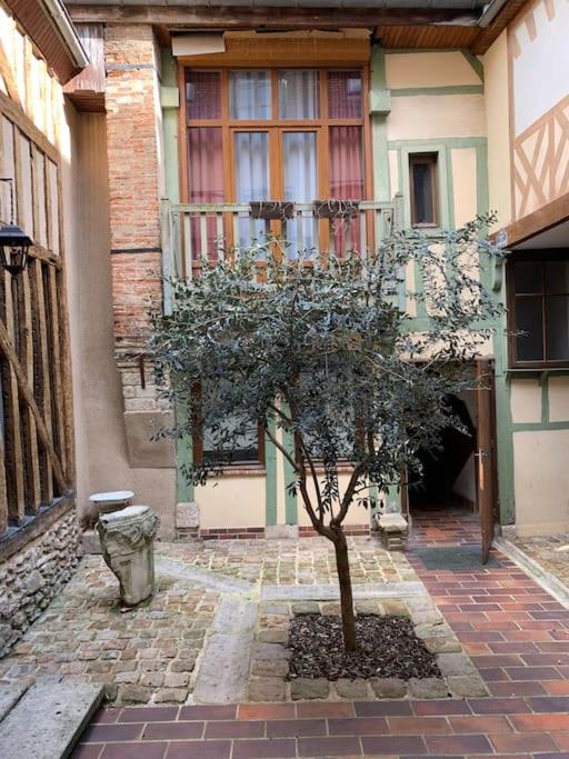Aube berges de Troyes photo 3