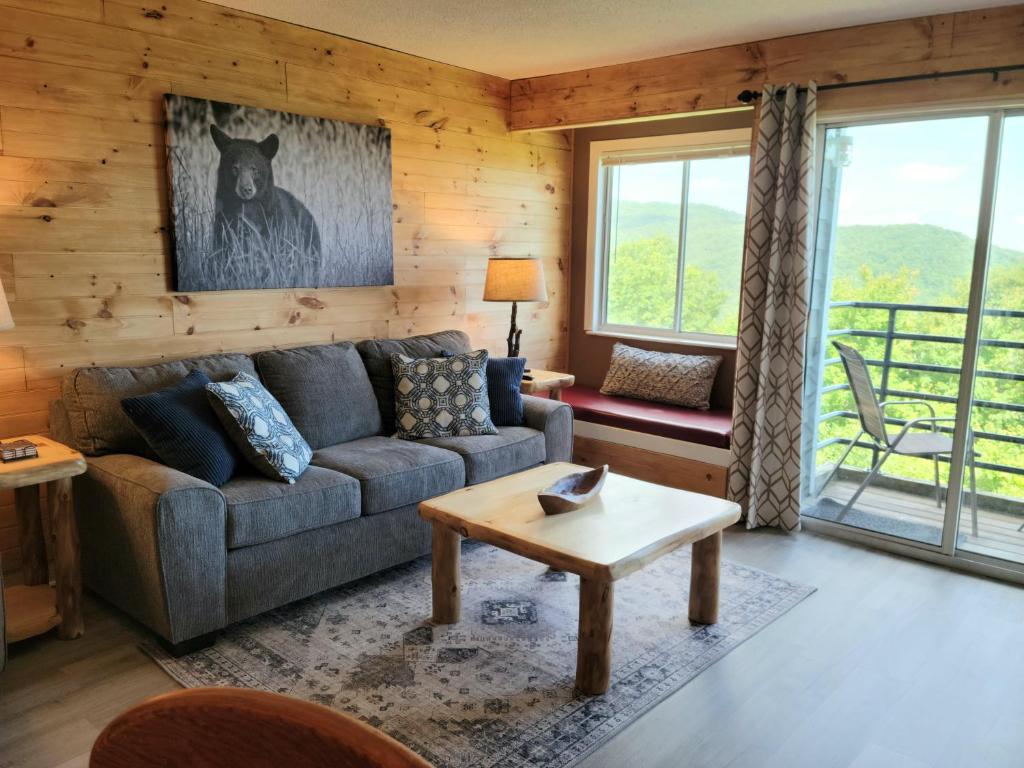 Mountain Villa Magnificent Views - 2 Pools, Fireplace & Hot Tub image