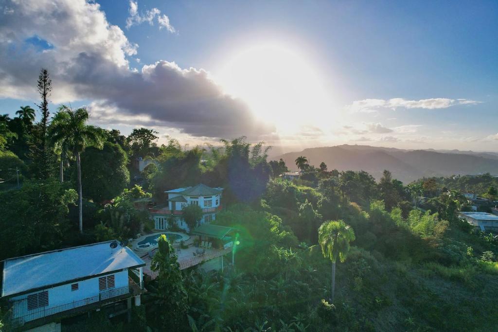 Pancho's Paradise - Rainforest Guesthouse with Pool, Gazebo and View photo 3