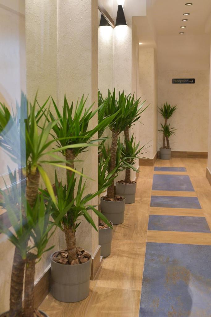 Corso Rooms City Centre photo 4