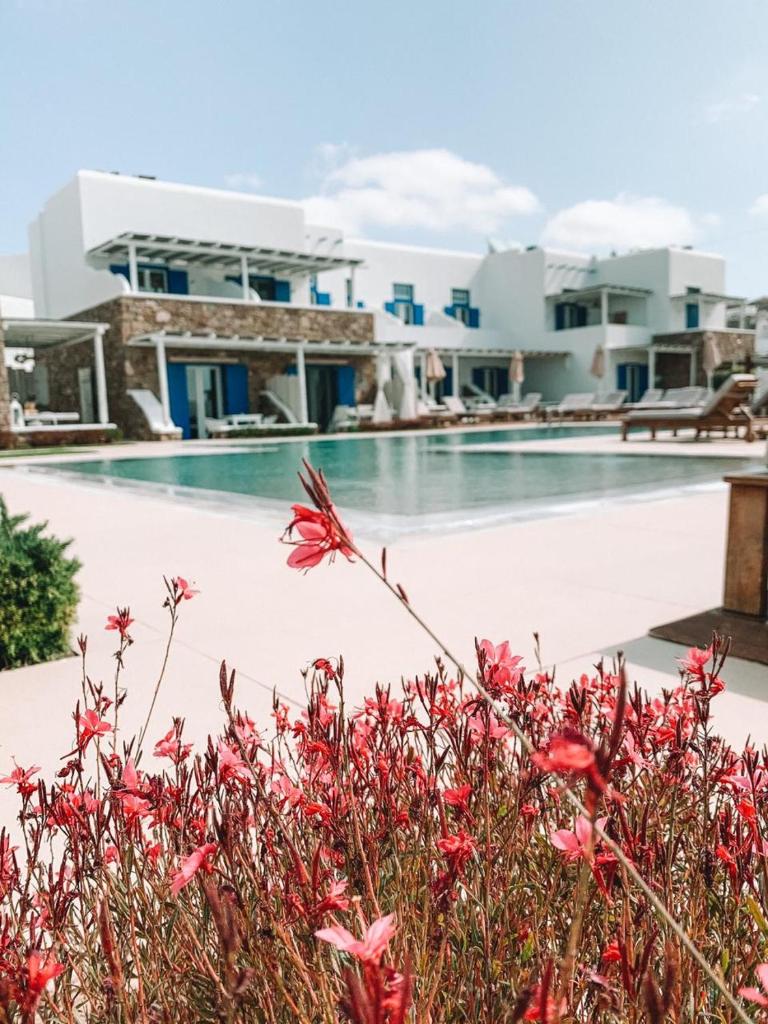 Blue, White and Grey Suites