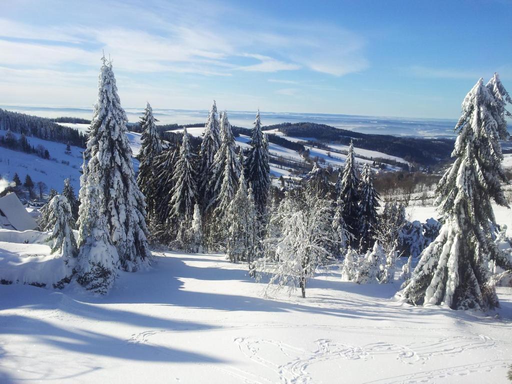 Chata Čenkovice photo 3