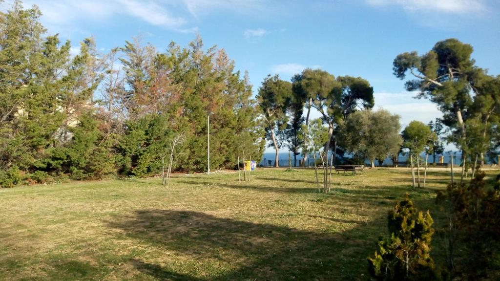Casa Giardino sul Mare photo 3