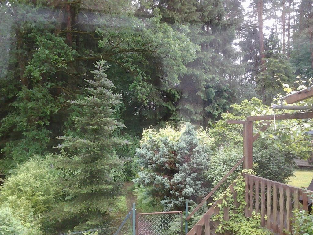 Haus-Saufelsen photo 2