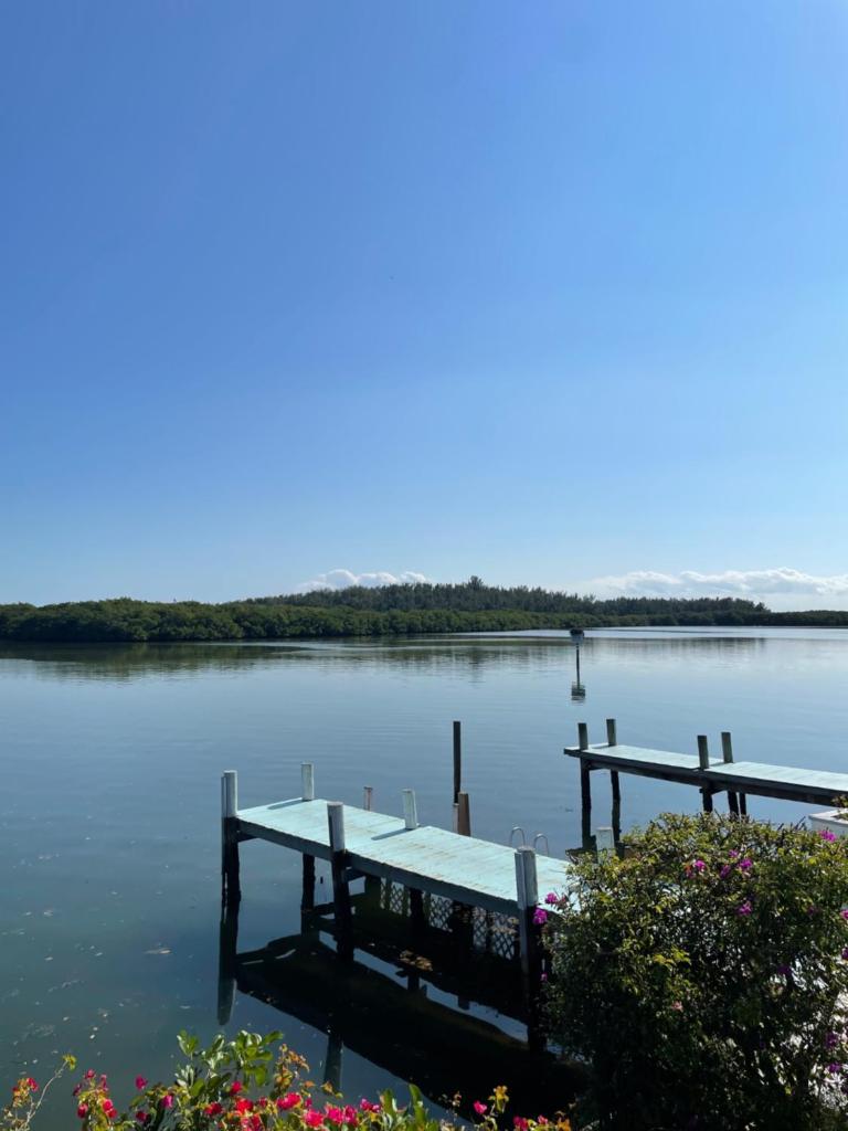 Turtle Beach Resort photo 3