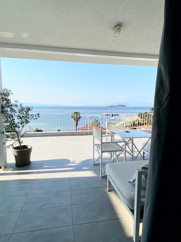 Aristotelia Gi - Panorama photo 1