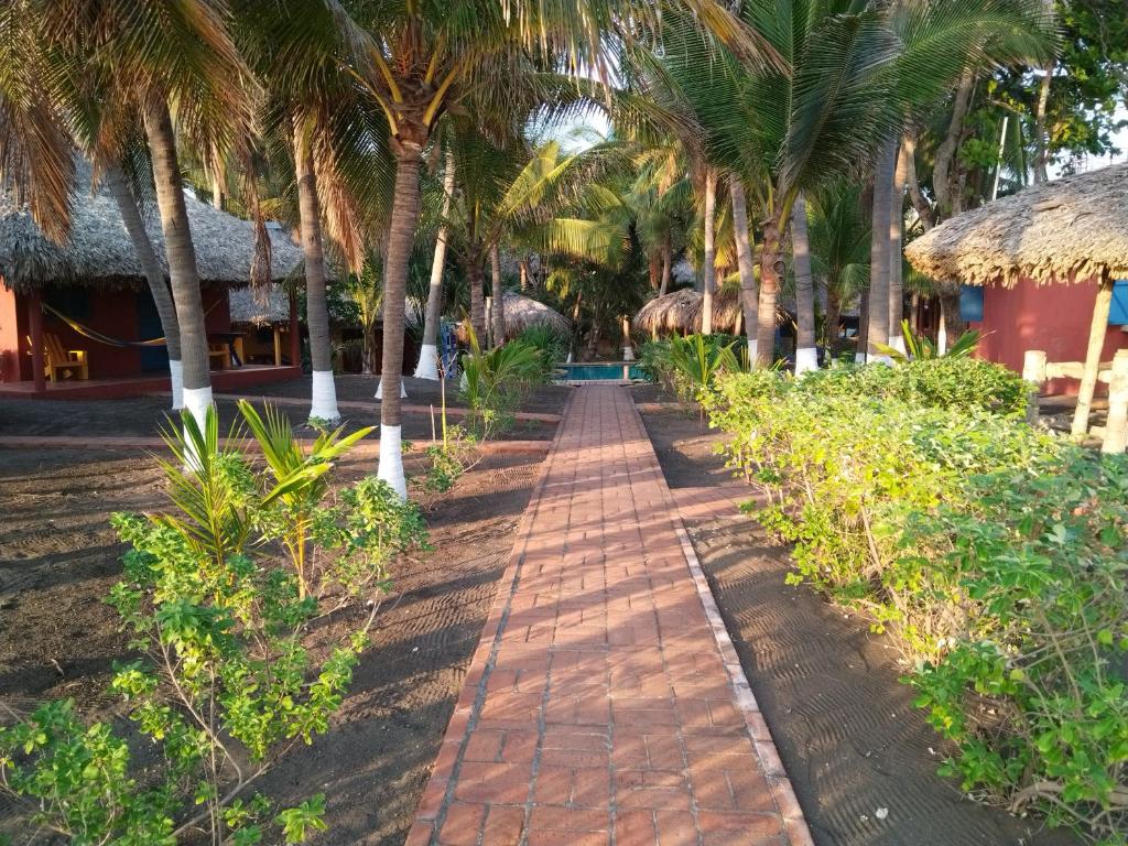 Hotel Pez de Oro photo 4