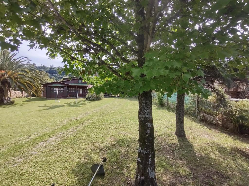 PICHI HOUSE photo 3