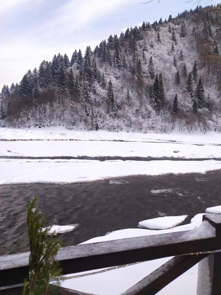Shalet photo 4